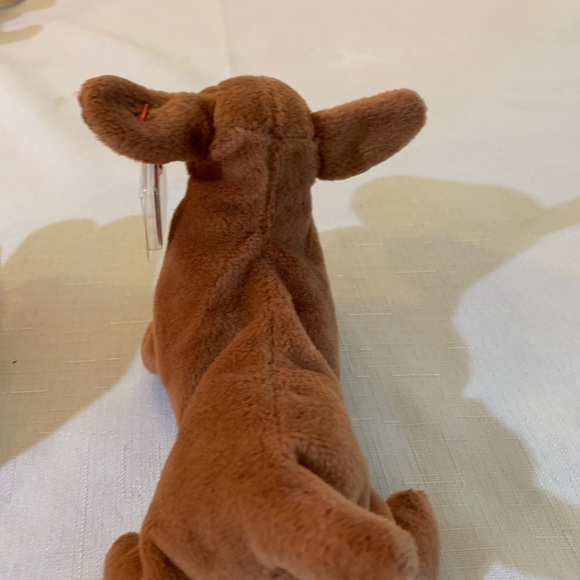 RARE! WEENIE THE DOG BEANIE BABIES - Picture 2 of 8